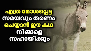 Never Give Up Hope | Motivational Story Of A Donkey |  Malayalam Motivational Video