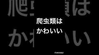 【爬虫類はかわいい】#shorsグリーンイグアナの赤ちゃんが可愛すぎる【癒し】