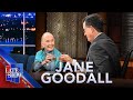 Jane Goodall On Voting To Save The Planet, And Why Male Politicians Are Like Chimpanzees