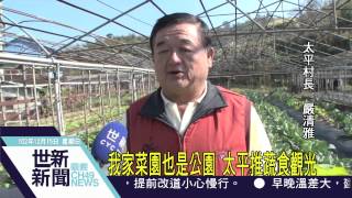 世新新聞 我家菜園也是公園 太平推蔬食觀光