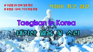 태기산 얼음 🧊 꽃 부딪히는 소리 들어보세요 ; 등산 초보도 운동화로 갈 수 있는 최고의 설산!!! 4K설정시청