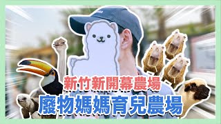 【新竹旅遊景點】新開幕親子農場！近距離超萌小動物，餵食水豚君、梅花鹿 // 廢物媽媽育兒農場『僅開放預約制』