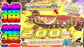 【釣りスピ】ウルトラ必殺技999ダメ連発でヨロイオオザリガニ余裕のGET！？ww