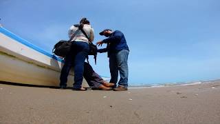 Tráiler del Documental: URACCAN 25 años Tejiendo la Interculturalidad con los pueblos