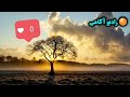 ذکر سریع الاجابه تا صدای اذان را شنیدی این۴ اسم خدا را صدا بزن تا سریع حاجت روا بشی🤲 معجزه اذان 💥