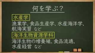 学問分野紹介【水産学篇】～大学・専門など進路選びに役立つ動画