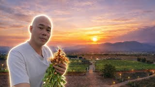 HÔM NAY THÉP KỂ CÂU CHUYỆN BIẾN SA MẠC KHẮC NGHIỆT THÀNH NÔNG TRẠI XANH SAU 4 THÁNG