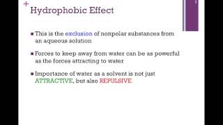 009-Hydrophobic Effect \u0026 Its Consequences