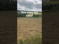 want to guess how many bales of hay we will get from this field? #farmlife #tractor #hay #summer