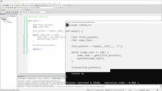 C Program - Display its Own Source Code as Output
