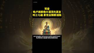 静心佛乐【毗卢遮那佛大灌顶光真言】梵文版buddha songs大光明咒/光明真言 with lyric Vairocana Buddha Great Initiation Light Mantra