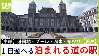 甲子園球場９個分！超大型「泊まれる道の駅」遊園地・プール・温泉・梨狩り...１日遊べる　お得な\