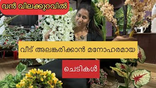 ഇത്രയും വില കുറവോ ചെടികൾക്ക്|| UNBOXING PLANTS FOR HOME DECOR || #home#malayalam#decor