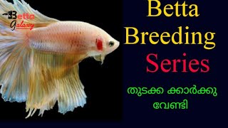 Betta breeding series Malayalam |introduction