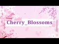 Welcome to Cherry Blossom’s channel