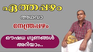 ഏത്തപ്പഴം അഥവാ നേന്ത്രപ്പഴം ഔഷധ ഗുണങ്ങൾ | Health benefits of banana | Ethapazham or Nendra pazham