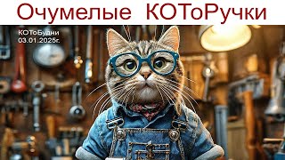 Очумелые КОТоРучки или КОТоБудни от 03.01.2025 г.