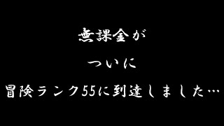 【原神】無課金冒険ランク55！世界ランク8の所感と入手アイテム、聖遺物強化、脆弱樹脂の話 / what's in my bag【げんしん】