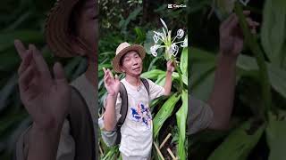 ＃二叭子植物園