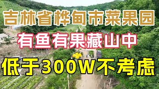 吉林省桦甸市山庄果园300W，山野中的鱼池农家小院，大家觉得合适吗【鬼头看房】