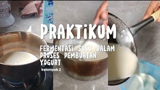 Proses fermentasi susu menjadi yogurt