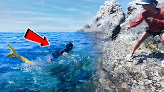He Found A Real Mermaid On Beach, The Ending Will Shock You