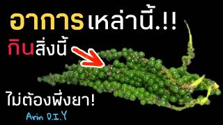 อาการเหล่านี้.!! กินพริกไทยสด ไม่ต้งพึ่งยา |Arin D.I.Y♡EP.38