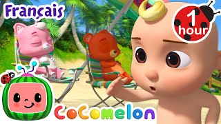 La plage c'est merveilleux | Chansons pour Bébés | CoComelon Le coin des Animaux de JJ - Comptines