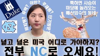 비지팅의 성지!  미국 살기 좋은 도시 소개 노스캐롤라이나 찐 추천 / 미국 이주 지역 추천