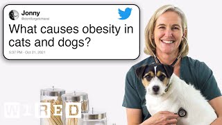 Veterinarian Answers Pet Questions From Twitter | Tech Support | WIRED
