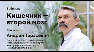 Кишечник - второй мозг. Вебинар профессора Тарасевича А.Ф. о здоровье микробиоты.