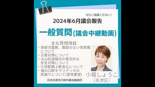 2024年第二回川崎市議会定例会、小堀祥子議員の一般質問