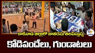 Cockfighting Full Swing at Kakinada Dist | కాకినాడ జిల్లాలో జాతరను తలపిస్తున్న కోడిపందేలు, గుండాటలు