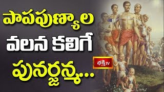 పాపపుణ్యాల వలన కలిగే పునర్జన్మ..! || Dharma Sandehalu