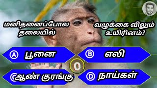 மனிதனைப் போல தலையில் வழுக்கை விலும் உயிரினம் | general knowledge questions and answers