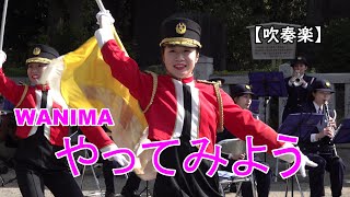 💛美人女性警察官フラッグ演技『やってみよう』（ＷＡＮＩＭＡ）大阪府警察音楽隊　【吹奏楽】