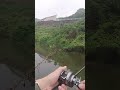 スピナーベイト投げると・・① shorts bassfishing バス釣り