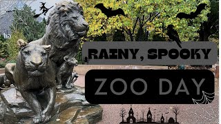 A Spooky, Rainy Day at the Zoo