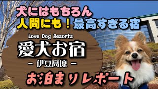 犬にも人にも最高すぎる宿 「愛犬お宿 伊豆高原」お泊まりレポート