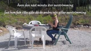 Midsommarresan till Orsa