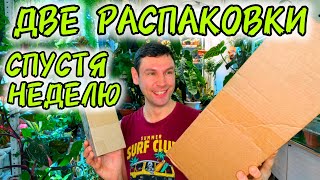 ДВЕ РАСПАКОВКИ СПУСТЯ НЕДЕЛЮ ПОСЛЕ ПОЛУЧЕНИЯ / ЖАЛУЮСЬ НА ПРОДАВЦОВ 