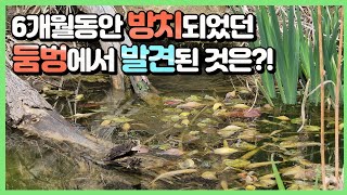 6개월동안 연못을 방치한 건 이 녀석들을 위해서 였습니다.