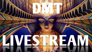 The DMT experience & consciousness LIVESTREAM  |  Dr. James Cooke