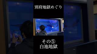 別府地獄めぐり　その⑤白池地獄　全ての地獄（海・鬼石坊主・かまど・鬼山・白池・血の池・龍巻）めぐりの様子は説明欄のリンクから