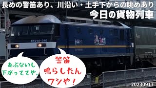 【警笛あり】土手下から見上げる貨物列車EF65PF EF210桃太郎 1050レ 5085レ 5087レ 1052レ 2059レ カンガルーライナー 20230917