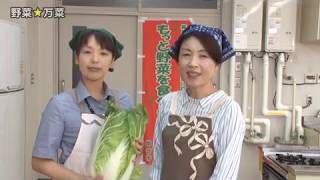 野菜万菜！！～白菜～（平成29年11月）