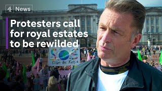 Youth climate protesters urge royal family to rewild royal estates before COP26 summit