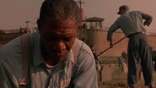 The Shawshank Redemption : \