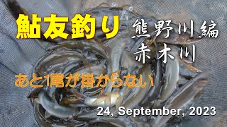 鮎友釣り・熊野川編（赤木川）  24, September, 2023