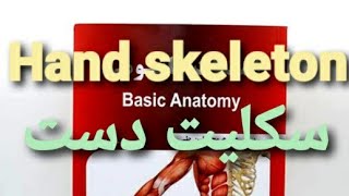 اناتومی دست / اسکلیت دست / کف دست / بند دست / انگشتان / مفاصل / hand skeleton/ Wrist/ carpal tunnel